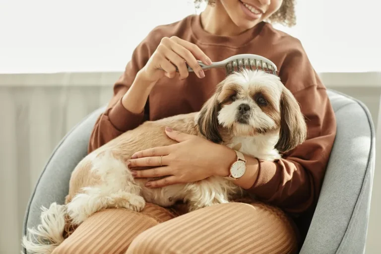 How Often Do Dogs Need Rabies Shots: A Complete Guide to Protecting Your Canine Companion